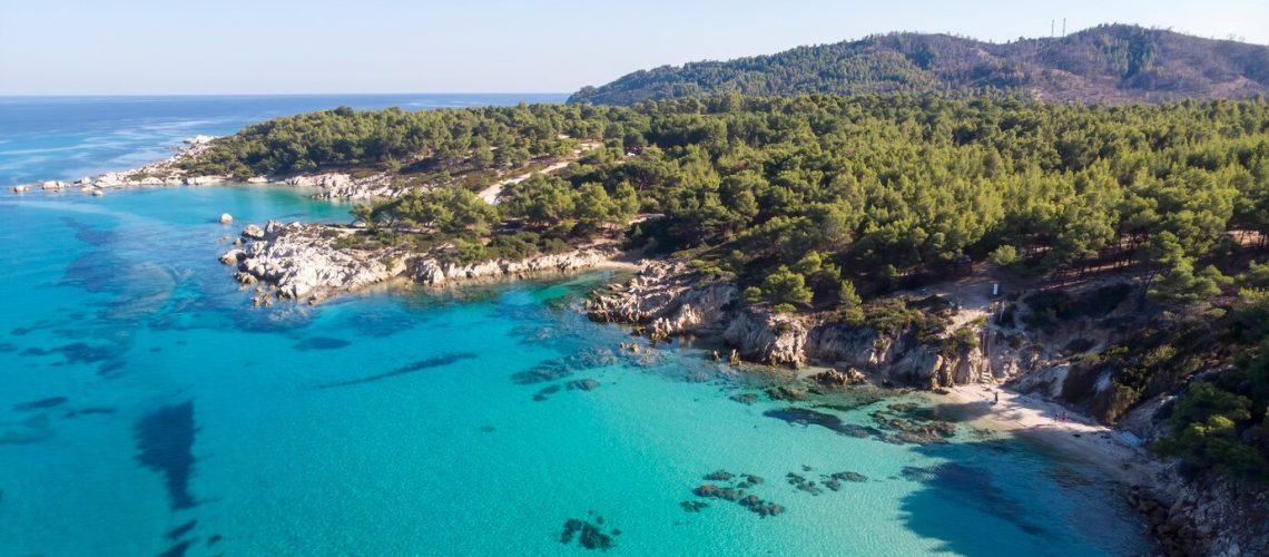 costa-mar-egeo-agua-azul-transparente-vegetacion-alrededor-rocas-arbustos-arboles-vista-zumbido-grecia_1268-16816 (1)